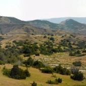 Pryor Mountains