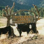 Bonanza Creek Country Guest Ranch