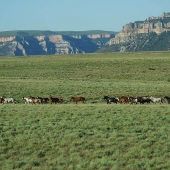 Bighorn Mountains