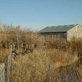 Springhill Ranch