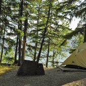 Glacier National Park: Lake McDonald - Sprague Creek Campground