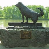 Shep Memorial