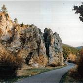 Performance Road