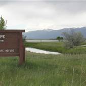 Ninepipe Reservoir