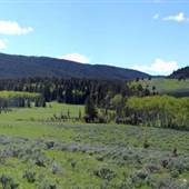 Johnny Gulch Road