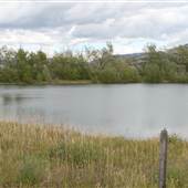 South Bozeman Pond