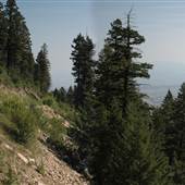 Wineglass Mountain