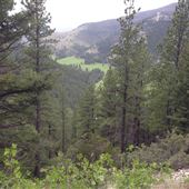Logging Creek Ranch