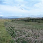 Boyce Ranch