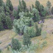 Galt Ranch (Old Homestead Aerials)