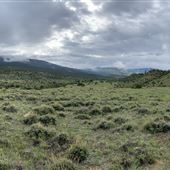 O'Hair Ranch- Strickland Creek