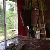 Sacerdoti Buckhorn Cabin
