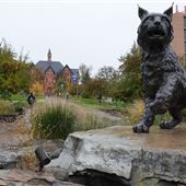 Montana State University : 2025