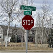 South Cottonwood Drive & Loyal Ave