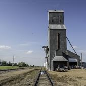 Reserve (2026)