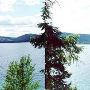Bitterroot Lake