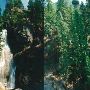 Holland Falls