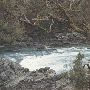 Flathead River