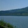 Swan Lake