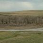 AMS Ranch