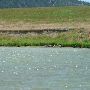 Holter Lake