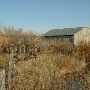 Springhill Ranch