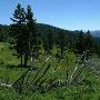 Little Wolf Creek