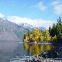 Fall Colors