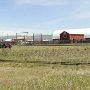 Grant Kohrs Ranch
