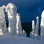 Whitefish Mountain Resort (Big Mountain)