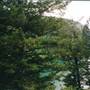 Cliff Lake