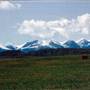 Crazy Mountains