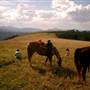 Bear Creek Ranch