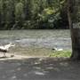 Greek Creek Campground