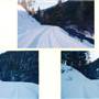 Hyalite Canyon Road [Snow]