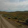 Indian Creek Road