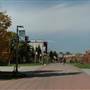 Montana State University