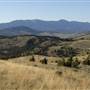 Ridgeway Property