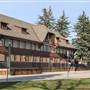 Whitefish