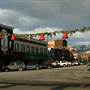Whitefish