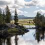 Beartooth Highway