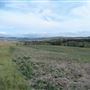 Boyce Ranch