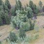 Galt Ranch (Old Homestead Aerials)