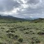 O'Hair Ranch- Strickland Creek