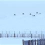 Blackfeet Indian Reservation