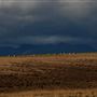 Blackfeet Indian Reservation
