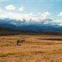 Blackfeet Indian Reservation