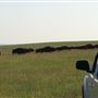 Blackfeet Indian Reservation
