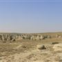 Blackfeet Nation Hoodoos