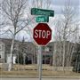 South Cottonwood Drive & Loyal Ave